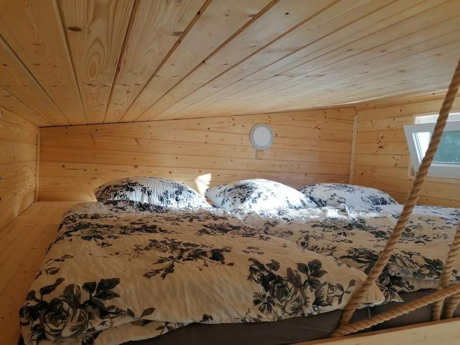 Glamping Sever Mikulášovice 外观 照片